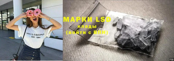 ПСИЛОЦИБИНОВЫЕ ГРИБЫ Абаза