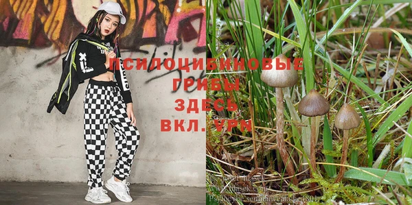 мескалин Абдулино