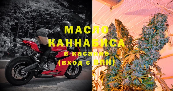 мдпв Новозыбков