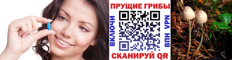 Псилоцибиновые грибы прущие грибы Апрелевка